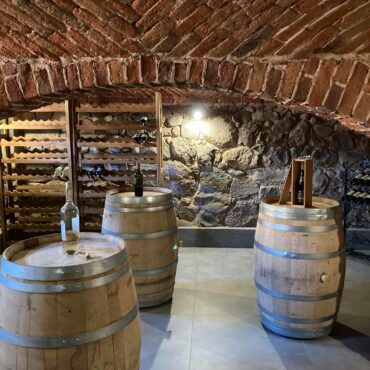 Zabytkowa winnica w folwarku matecznik