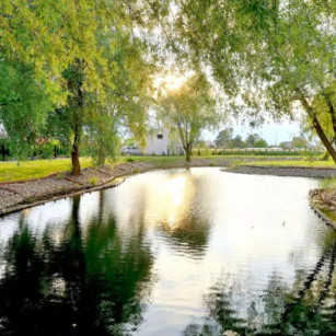 staw na terenie folwark matecznik