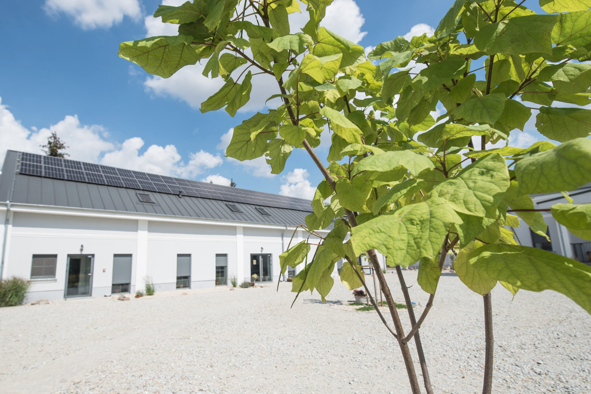 spichlerz folwark matecznik